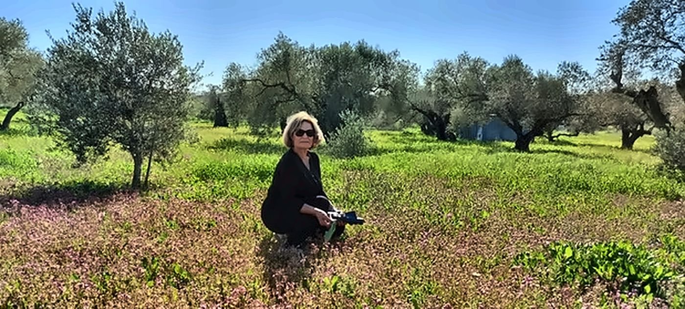 A woman photographing an olive grove carpeted with spring flowers
