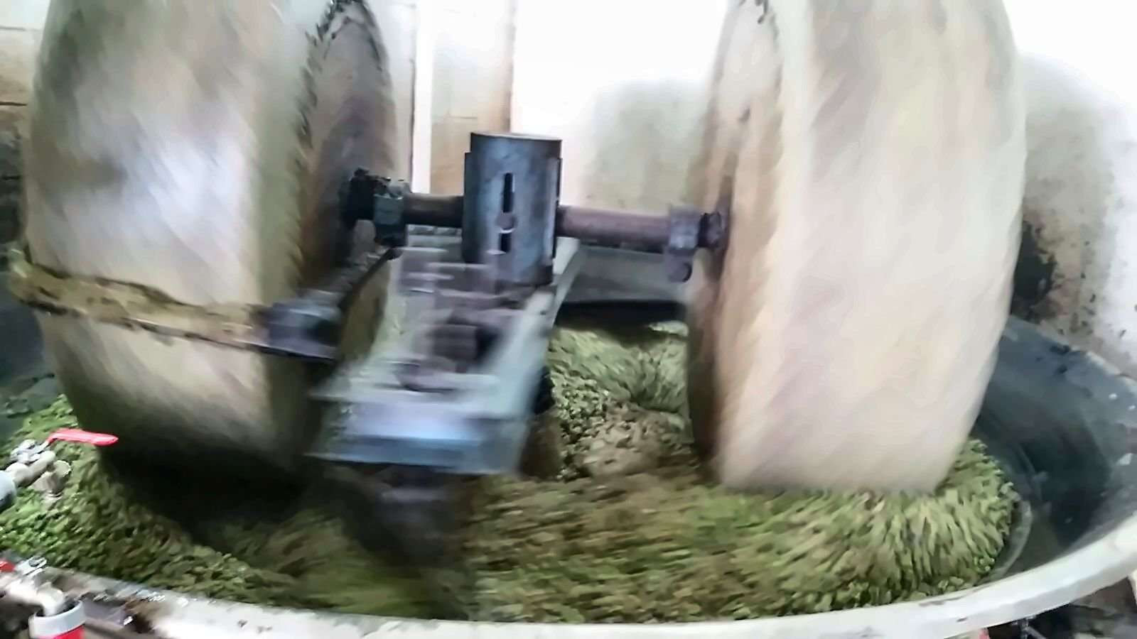 Stone millstones turning in olive paste