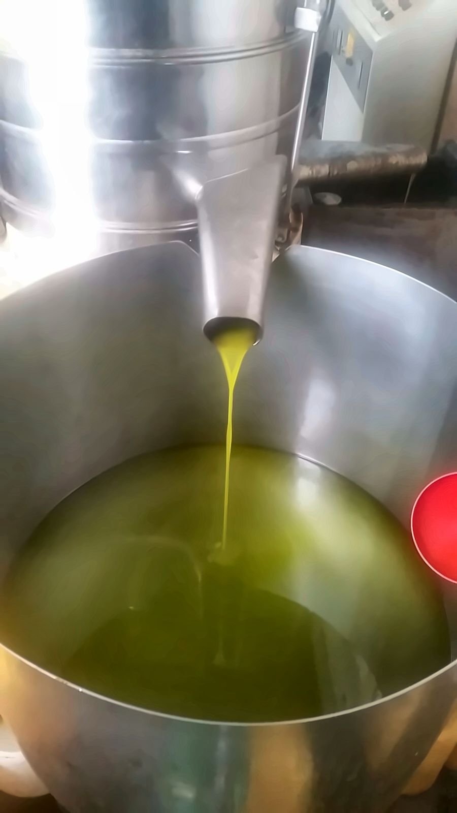 A stream of fresh green olive oil pouring into a steel tank